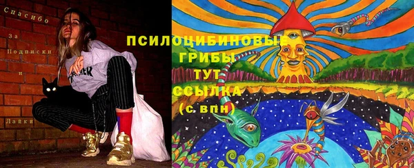 шишки Ступино