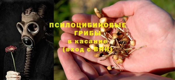 шишки Ступино