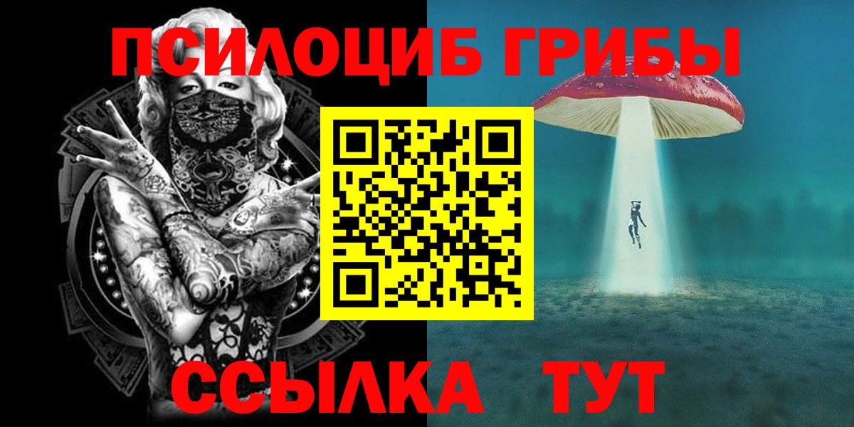 Можайск  Псилоцибиновые грибы GOLDEN TEACHER  Вход с VPN 